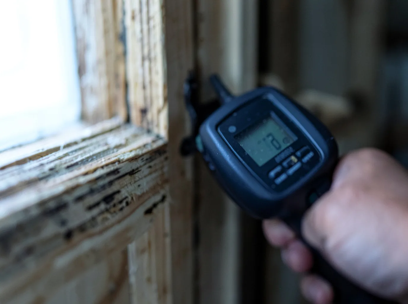 Moisture Inspection And Documentation in Estill Springs, TN